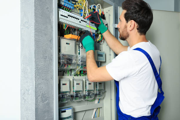 Best Electrical System Inspection  in New Athens, IL